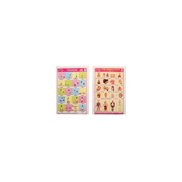 25 St. Schul- Sticker, diverse Motive