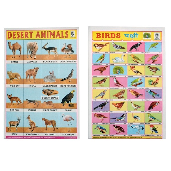 25 St. Schulposter klein: Pflanzen und Tiere