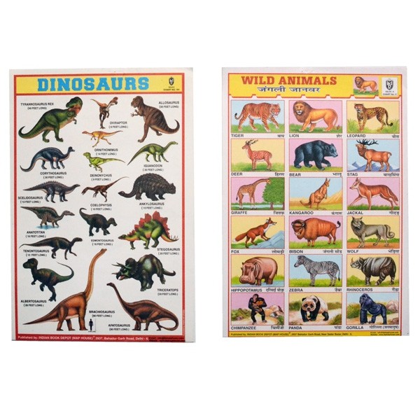 25 St. Schulposter klein: Pflanzen und Tiere