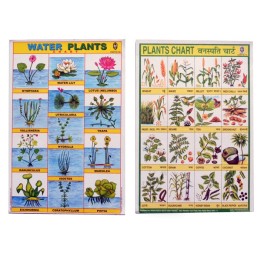 25 St. Schulposter klein: Pflanzen und Tiere