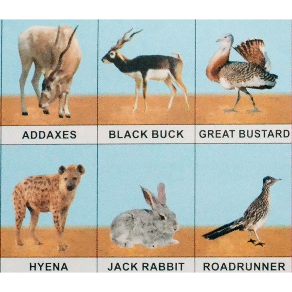 25 St. Schulposter klein: Pflanzen und Tiere